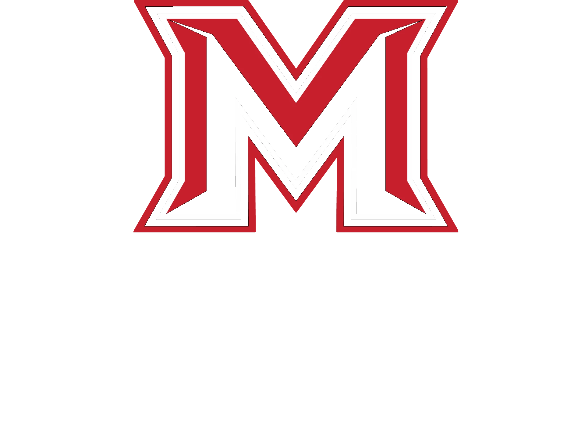Metro Sports Global