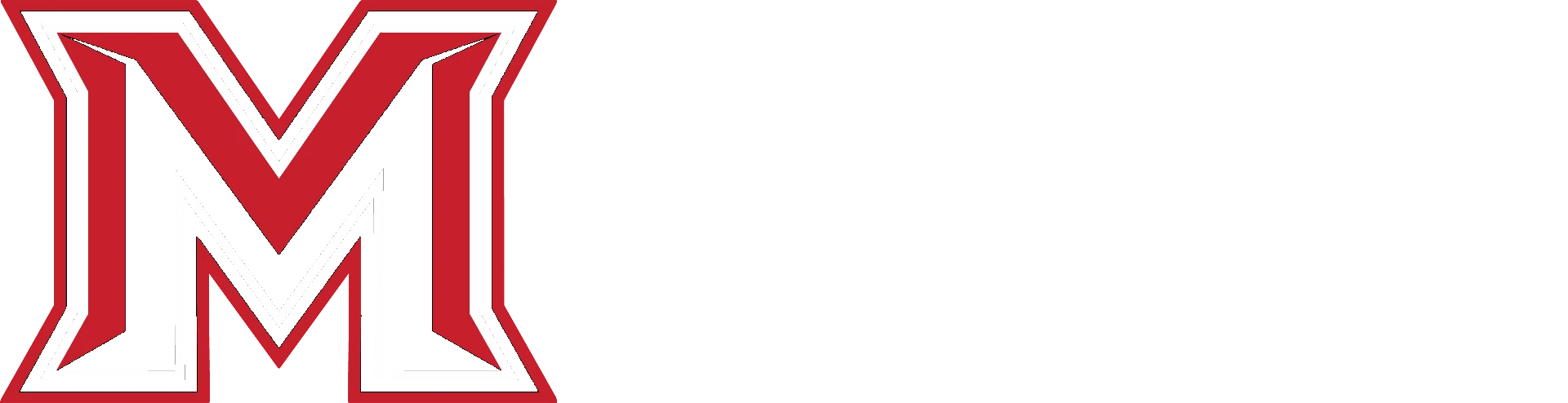 Metro Sports Global